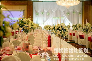 維妮婭婚慶策劃 濟(jì)南好網(wǎng)力薦的一站式婚慶服務(wù)專家